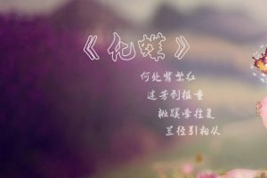 【绅士漫画】化蝶 第二季-188绅士站