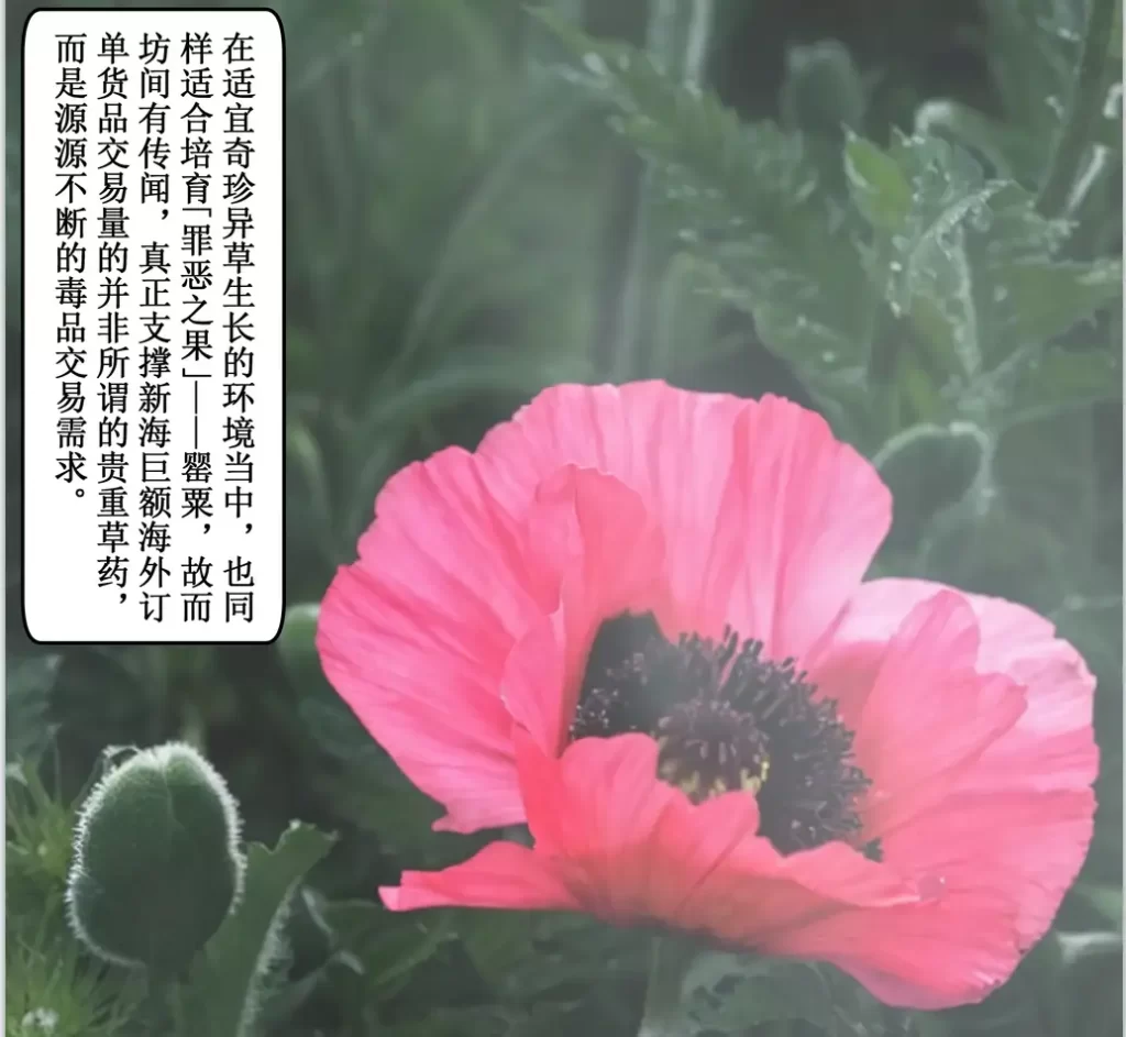 玫瑰的沉沦3D漫画_玫瑰的沉沦3D漫画下拉式观看_免费全彩漫画_ ikuu作品