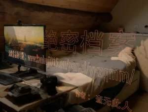 [3D漫画]暗枣X绝密档案-188绅士站