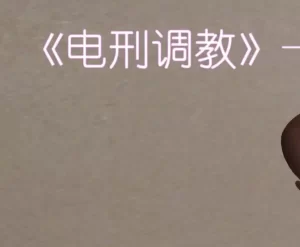 [3D漫画]电刑调教-188绅士站