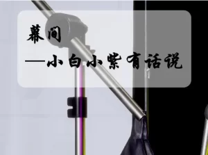 [3D漫画]幕间—小白小紫有话说-188绅士站